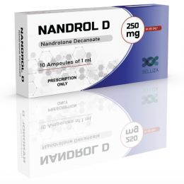 Nandrolone Decanoate 250 mg/ml, 10 ml - Nandrol D - Selliza Pharma
